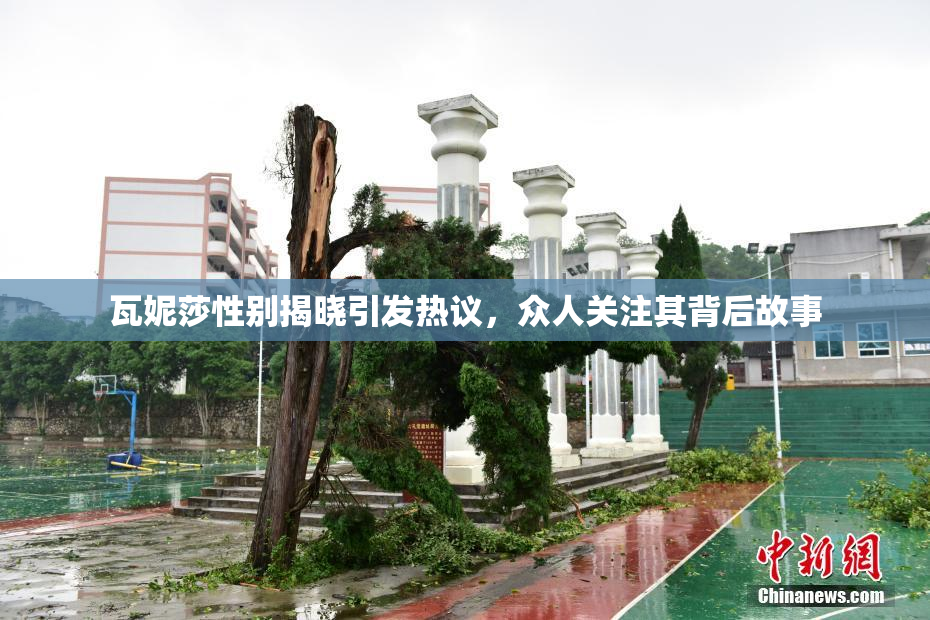 瓦妮莎性别揭晓引发热议，众人关注其背后故事