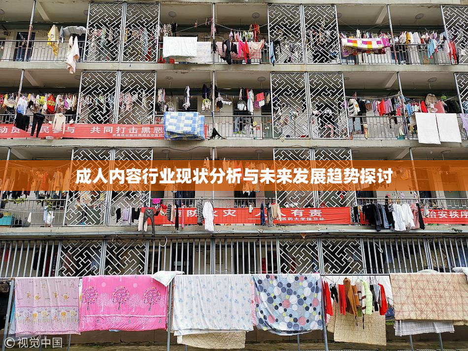 成人内容行业现状分析与未来发展趋势探讨