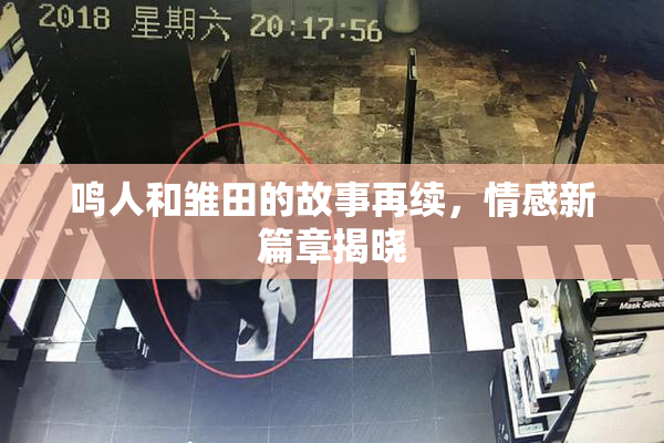 鸣人和雏田的故事再续，情感新篇章揭晓