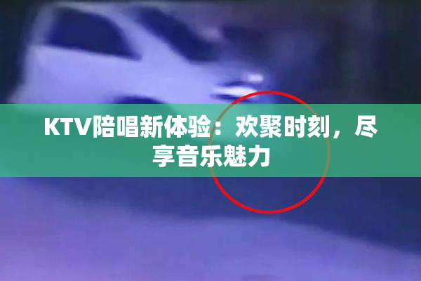 KTV陪唱新体验：欢聚时刻，尽享音乐魅力