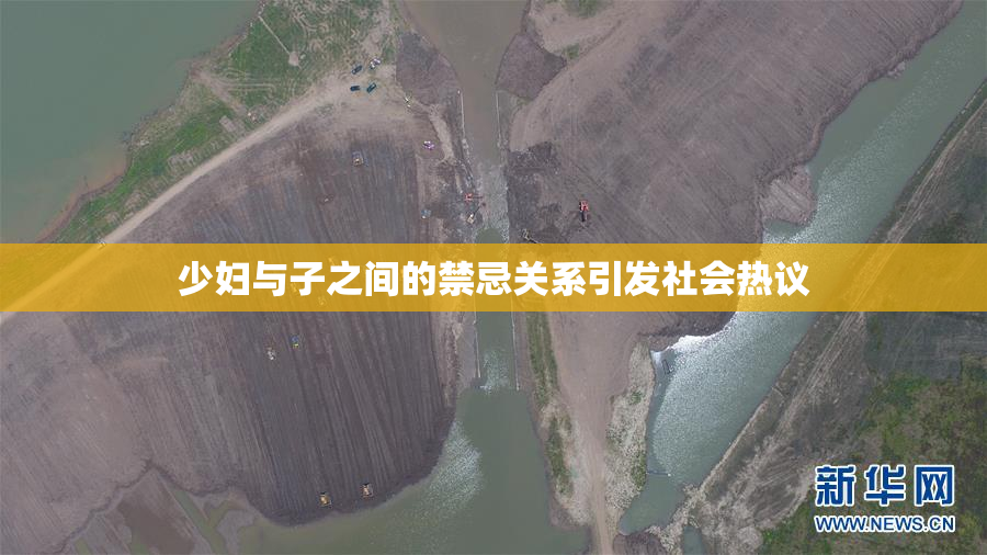 少妇与子之间的禁忌关系引发社会热议