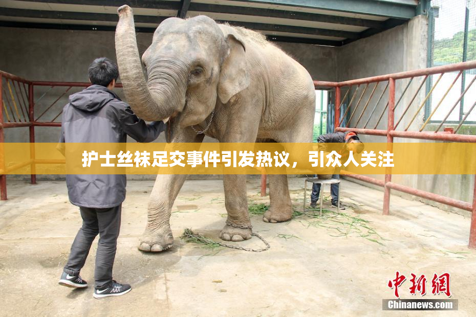 护士丝袜足交事件引发热议，引众人关注