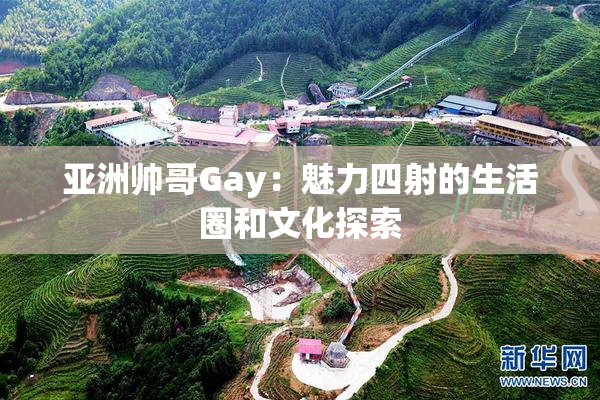 亚洲帅哥Gay：魅力四射的生活圈和文化探索