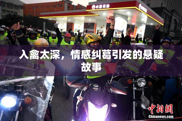 入禽太深，情感纠葛引发的悬疑故事