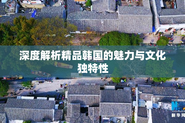 深度解析精品韩国的魅力与文化独特性