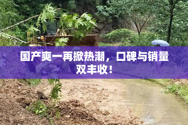 国产爽一再掀热潮，口碑与销量双丰收！