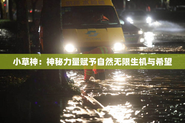 小草神：神秘力量赋予自然无限生机与希望