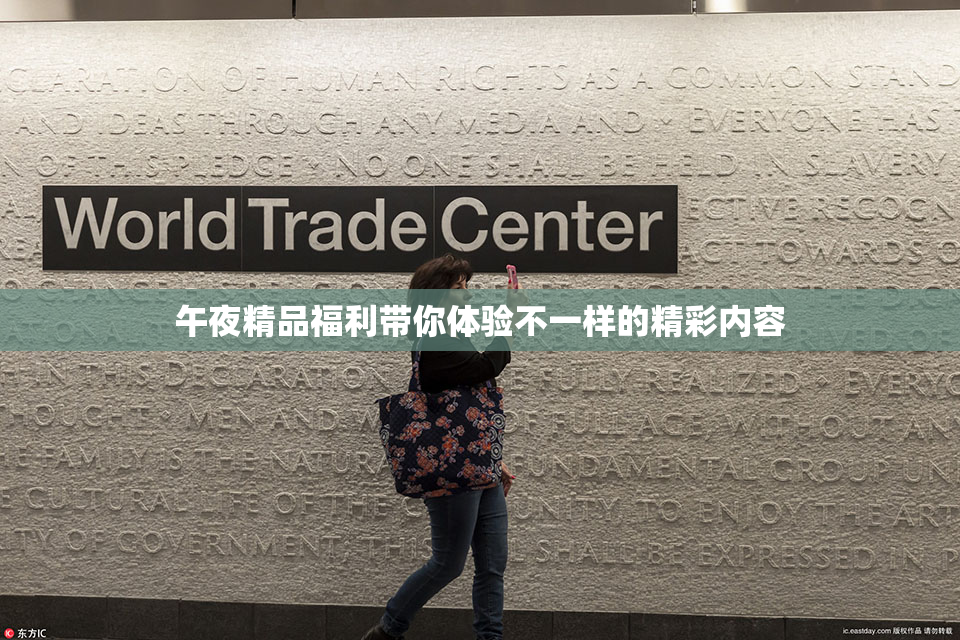 午夜精品福利带你体验不一样的精彩内容