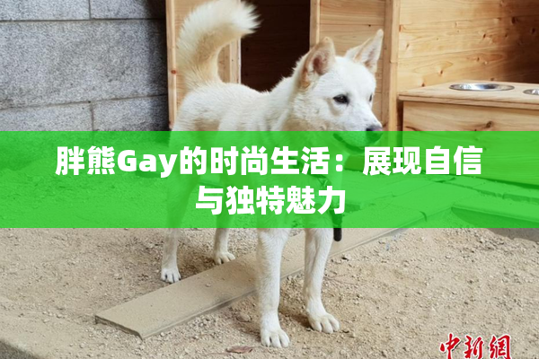 胖熊Gay的时尚生活：展现自信与独特魅力