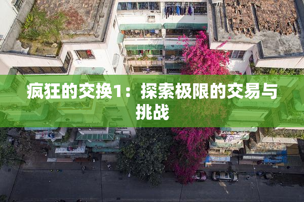 疯狂的交换1：探索极限的交易与挑战