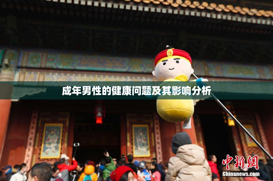 成年男性的健康问题及其影响分析