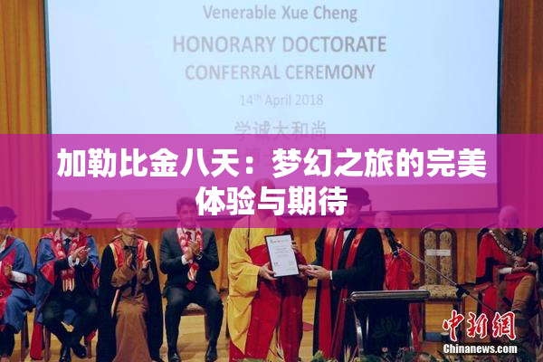 加勒比金八天：梦幻之旅的完美体验与期待