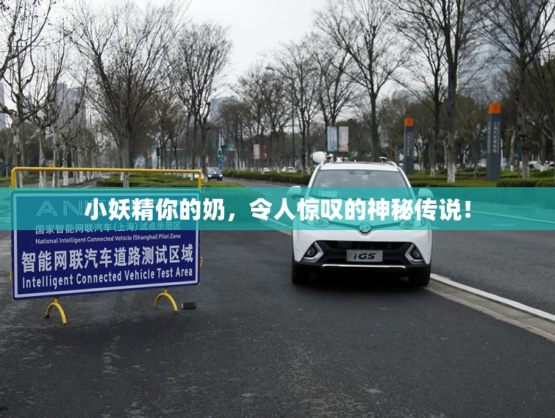 小妖精你的奶，令人惊叹的神秘传说！
