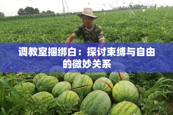 调教室捆绑白：探讨束缚与自由的微妙关系