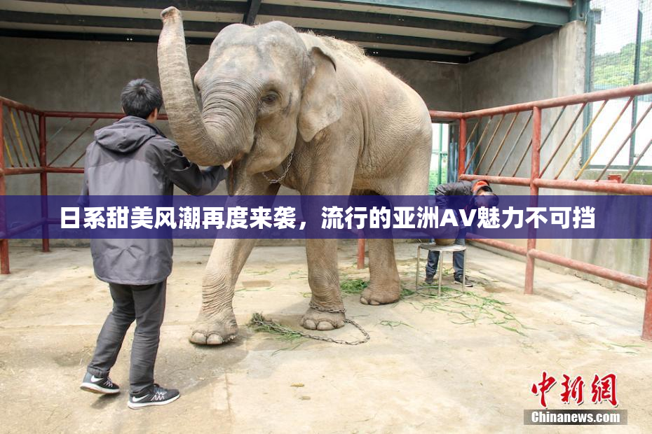 日系甜美风潮再度来袭，流行的亚洲AV魅力不可挡