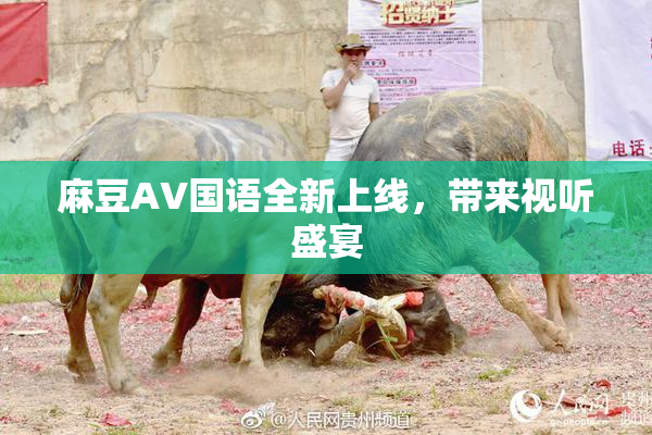 麻豆A∨国语全新上线，带来视听盛宴