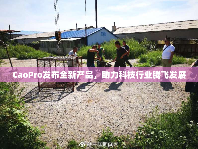 CaoPro发布全新产品，助力科技行业腾飞发展
