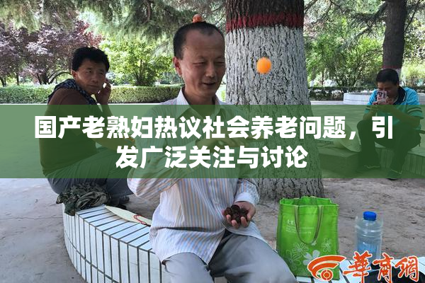 国产老熟妇热议社会养老问题，引发广泛关注与讨论