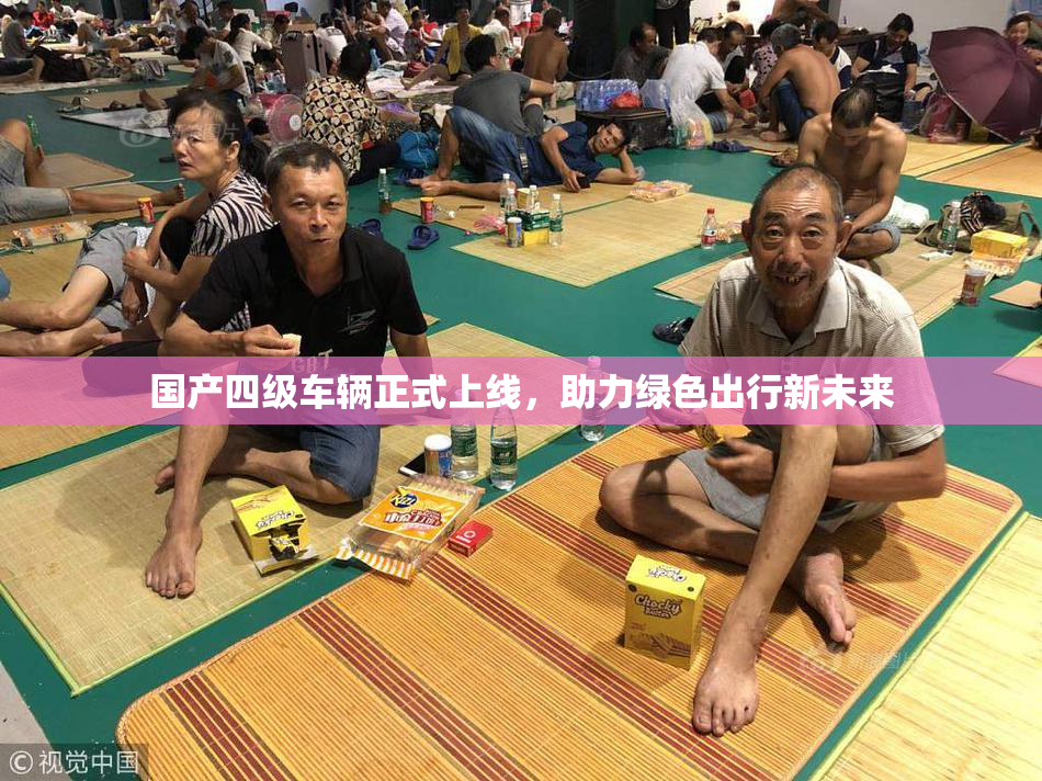 国产四级车辆正式上线，助力绿色出行新未来