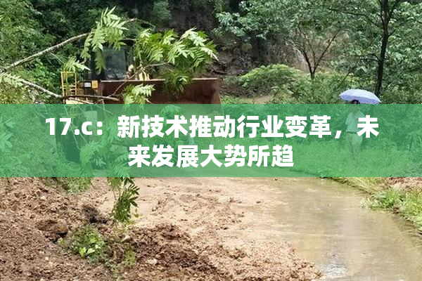 17.c：新技术推动行业变革，未来发展大势所趋