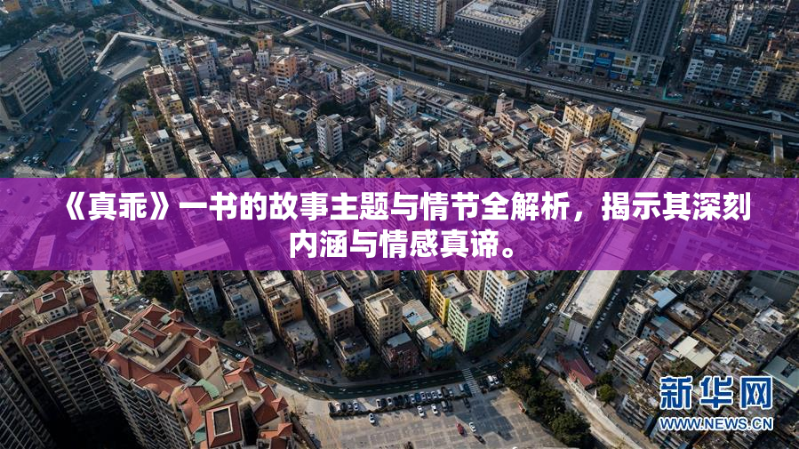 《真乖》一书的故事主题与情节全解析，揭示其深刻内涵与情感真谛。