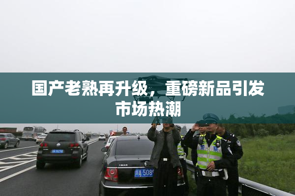 国产老熟再升级，重磅新品引发市场热潮