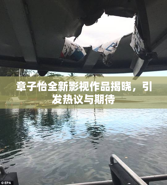 章子怡全新影视作品揭晓，引发热议与期待