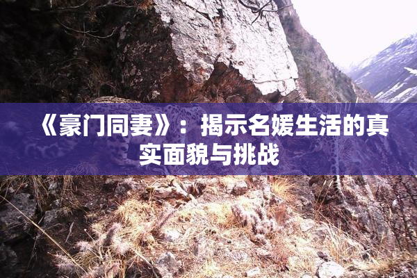 《豪门同妻》：揭示名媛生活的真实面貌与挑战