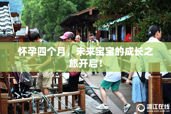 怀孕四个月，未来宝宝的成长之旅开启！