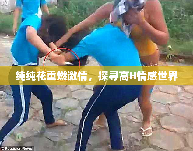 纯纯花重燃激情，探寻高H情感世界
