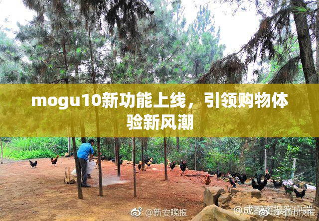 mogu10新功能上线，引领购物体验新风潮