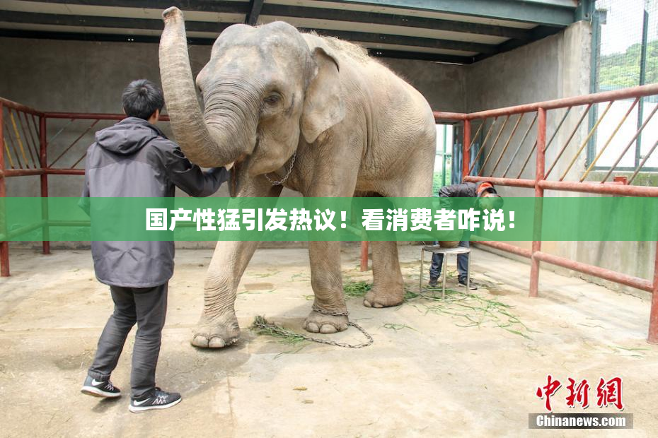 国产性猛引发热议！看消费者咋说！
