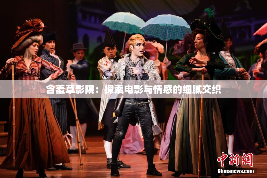 含羞草影院：探索电影与情感的细腻交织