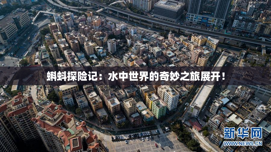 蝌蚪探险记：水中世界的奇妙之旅展开！