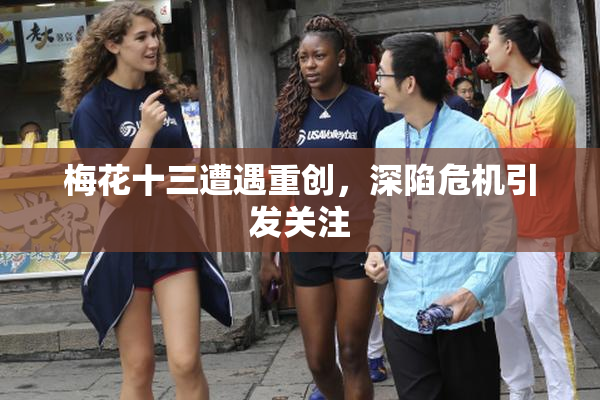 梅花十三遭遇重创，深陷危机引发关注