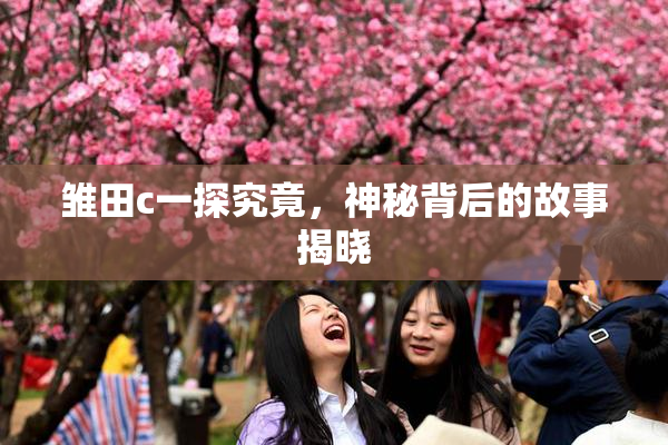 雏田c一探究竟，神秘背后的故事揭晓