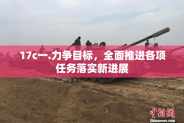 17c一.力争目标，全面推进各项任务落实新进展
