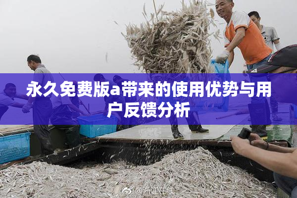 永久免费版a带来的使用优势与用户反馈分析