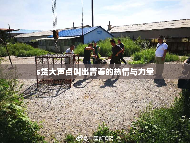 s货大声点叫出青春的热情与力量