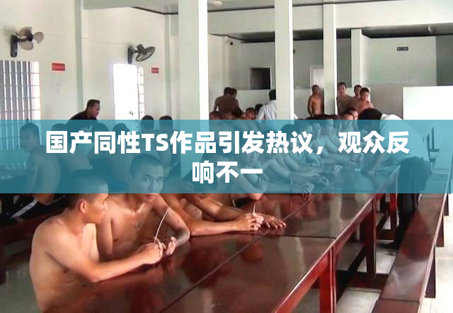 国产同性TS作品引发热议，观众反响不一