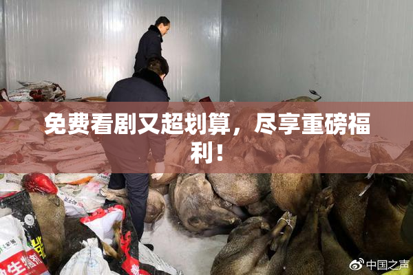 免费看剧又超划算，尽享重磅福利！