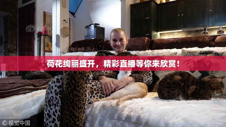 荷花绚丽盛开，精彩直播等你来欣赏！