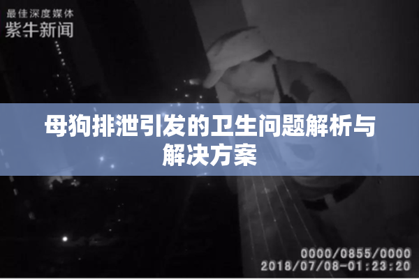 母狗排泄引发的卫生问题解析与解决方案
