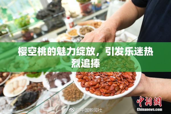 樱空桃的魅力绽放，引发乐迷热烈追捧