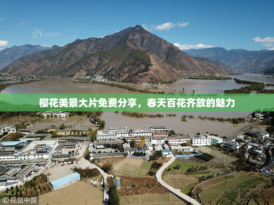 樱花美景大片免费分享，春天百花齐放的魅力