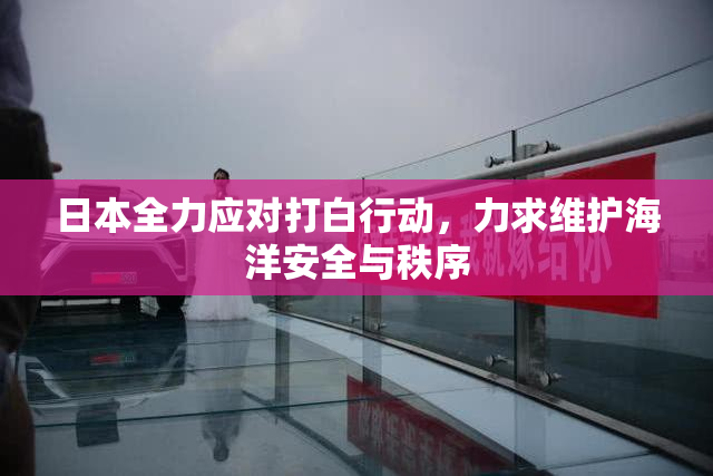日本全力应对打白行动，力求维护海洋安全与秩序