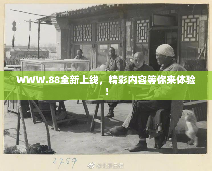 WWW.88全新上线，精彩内容等你来体验！