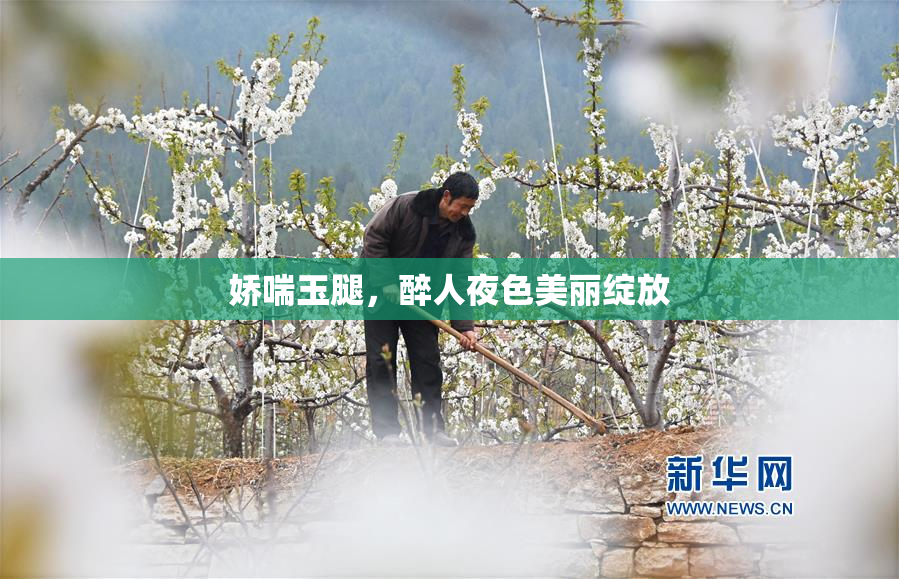 娇喘玉腿，醉人夜色美丽绽放