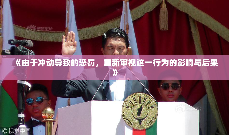《由于冲动导致的惩罚，重新审视这一行为的影响与后果》