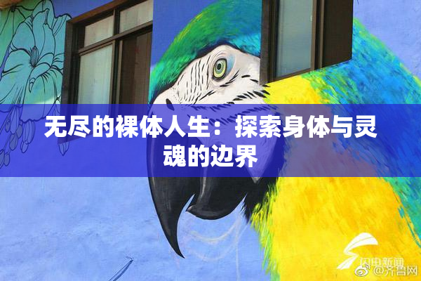 无尽的裸体人生：探索身体与灵魂的边界